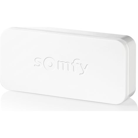 SOMFY 2401487 - IntelliTAG - Détecteur auto-protégé de vibration pour intérieur ou extérieur