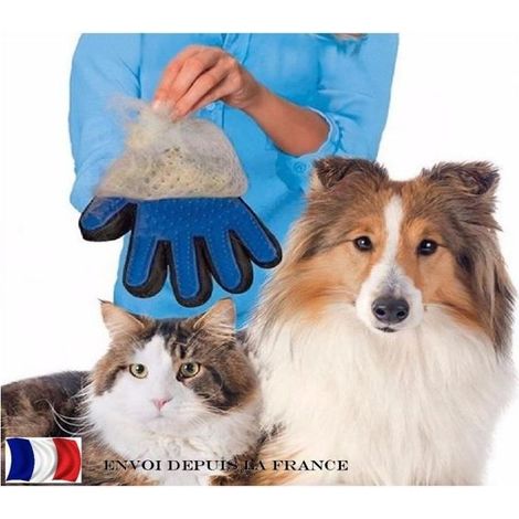 Votre chien va adorer ce gant de massage exfoliant. Vous aussi, vous l'adorerez (1/4)