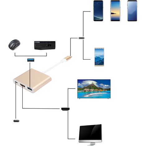 Adaptateur HDMI Type C 3 en 1 Portable Multifonction avec Coque Métallique Dorée