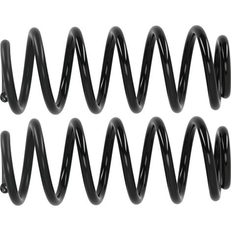 2x Coil Spring Rear Suspension for Smart Fortwo 451 2007- Black Coating (1/5)
