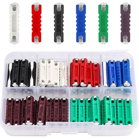 Lot de 60 fusibles torpille - 5 A 8 A 10 A 16 A 20 A 25 A 40 A - Pour véhicules européens et voitures anciennes - Avec boîte en plastique rigide (1/5)