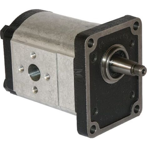 Zahnradpumpe Polaris 20 CASAPPA PLP2016D382E2 (1/5)