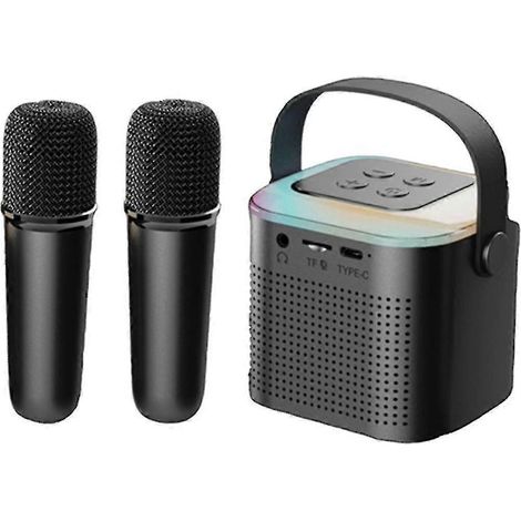 Tragbares Bluetooth 5.3-Lautsprechersystem mit 2 drahtlosen Mikrofonen, Lautsprecher zum Singen zu Hause, schwarz