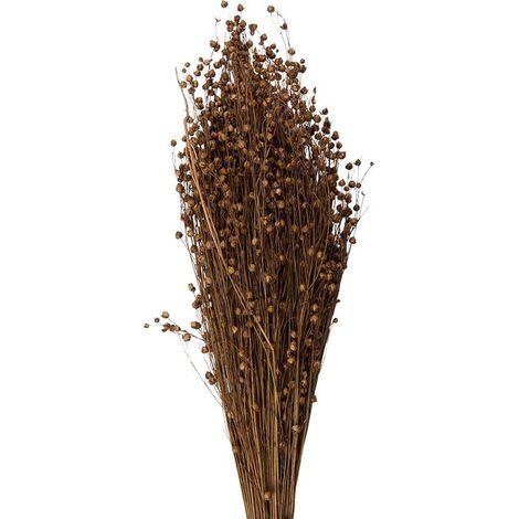 Bouquet de Fleurs Séchées Naturelles Décoration Champêtre et Vintage Beige 60 cm - PANGIVO (1/3)