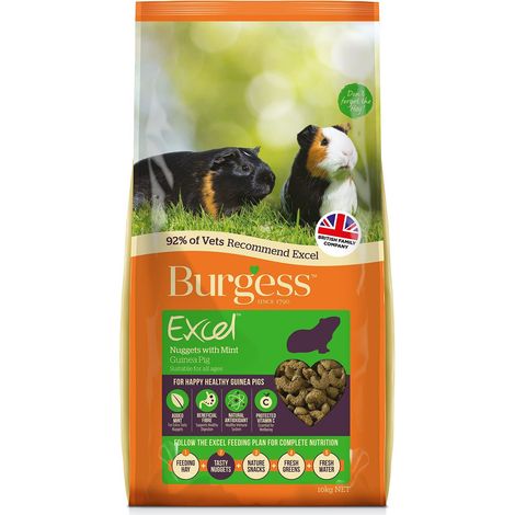 Burgess Excel Adult Guinea Pig Nuggets with Mint 10kg - 13854 (1/5)
