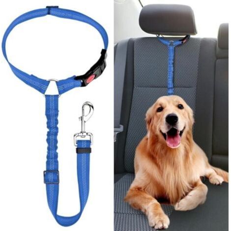 Ceinture Chien Voiture, Universel Harnais Voiture Réglable pour Chien & Chat avec Absorption des Chocs,Harnais Voiture pour Chiens,Ceinture de Sécurité pour Chien (1/5)