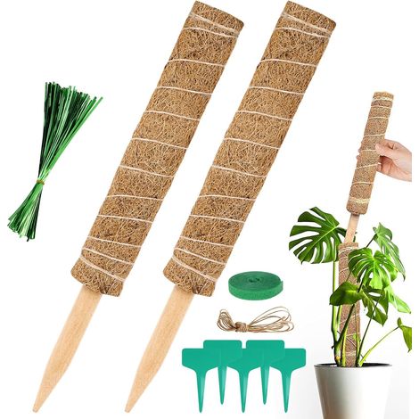 Tuteur Plante, 2pcs Tuteur Monstera, 40cm Tuteurs Coco, Support Plante Grimpante Pliable pour Plantes Monstera Extension Maison Jardin de Support de Plantes (1/5)
