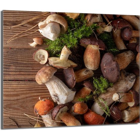 Glasschutzplatte für den Herd 60x52 Pilze