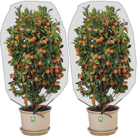 Filet Anti-Insectes Et Oiseaux - Filet De Protection Pour Plantes Avec Cordon De Serrage - 3,2 x 4,9 Pieds - Lot De 2 (1/5)