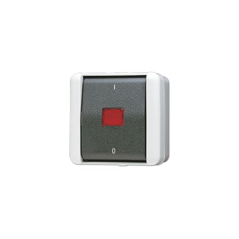 Jung Interruttore a bilanciere di controllo, Off 2-pol., 10 AX 250 V , IP 44, WG 800 802 KOW