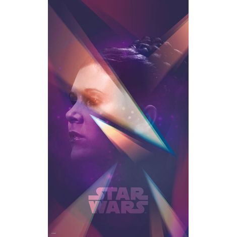 Poster géant intissé Princesse Leia Star Wars 120x200cm (1/3)