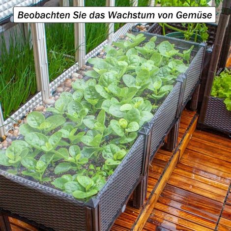Bache pour Serre, Film de Serre Transparent, pour Serre de Jardinage Tunnel en polyéthylène (2 x 6m) (1/4)