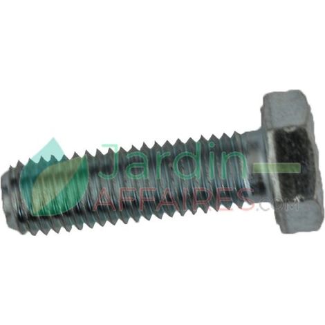Vis Uni 5739 M 12 x 40 Delmorino 40100023