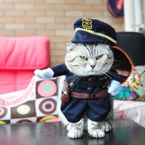 Uniforme pour Chien et Chat, Vêtements Mignons pour Animaux de Compagnie, Cosplay Costume Drôle, Tenue de Police Cool avec Chapeau-M