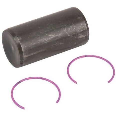 Achse kolben et sicherungsring Briggs et Stratton 797013 - 84002062