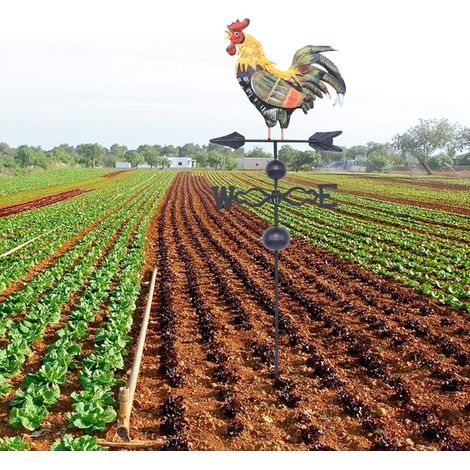 Hand-Painted Rooster Wind Vane – 120cm Iron Weathervane with Directional Letters Multi-Color Garden Decor for Outdoor Mounting Great for Your Home Patio Backyard Farmhouse (1/5)