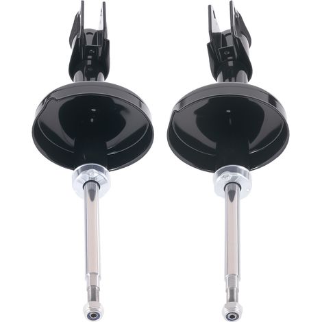 2x Stoßdämpfer Gasdruck For Renault Clio II Twingo II Thalia I Vorne 7700428602 (1/5)