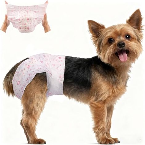 AUYAO Couche pour Chien Femelle, Couches Jetables pour Chien Femelles - Couches Chien Anti-Fuites pour la Chaleur, l'incontinence ou la Formation de Chiot, XS (1/5)