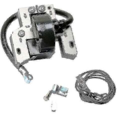 Bobine d'allumage compatible Briggs Stratton 591420 398593 496914 793281 792395[NX] (1/4)