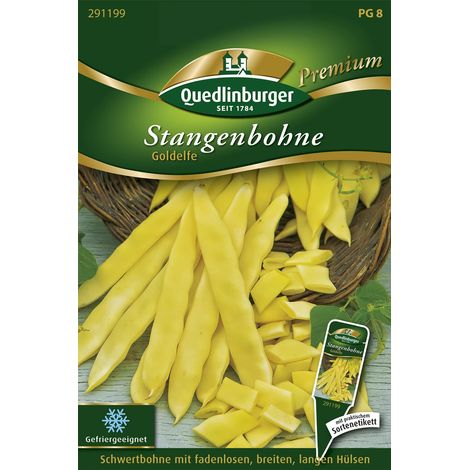 Quedlinburger Saatgut – Haricot à rames Goldelfe – Graines de légumes, haricot sabre à gousses plates de 22 à 24 cm (1/2)