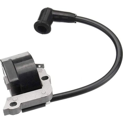 Zündspule für Stihl Fs55 Fs55c Fs46 Fc55 Fs38 Fs45 Fs55 Hl45 Hs45 - Bdliv (1/4)
