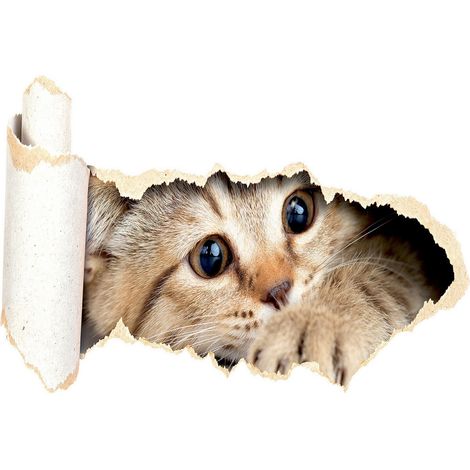 Sticker Chaton - 1 planche 42,5 x 65 cm (1/5)