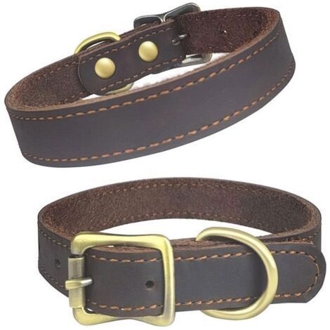 FENOPLASTICA(s)Qianruida Collier pour Chien Cuir Véritable Colliers Réglables en Cuir - S (1/5)