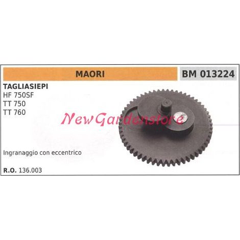 Getriebe mit Exzenternocken MAORI Heckenschere TT 750 760 013224