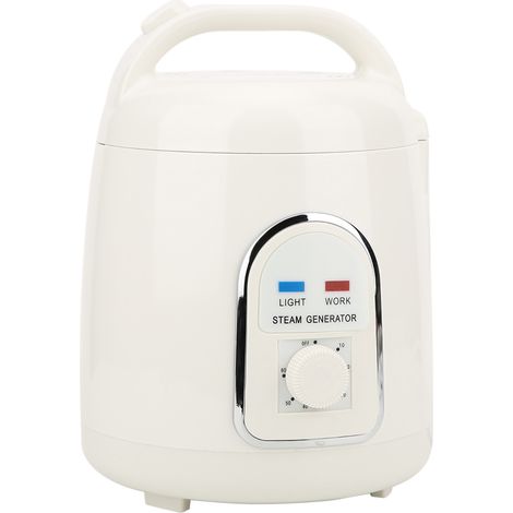 Générateurs de vapeur pour saunas et spas antidéflagrants de 1,5 L, appareils de production de vapeur, machines à vapeur, outils d'évaporation (1/5)