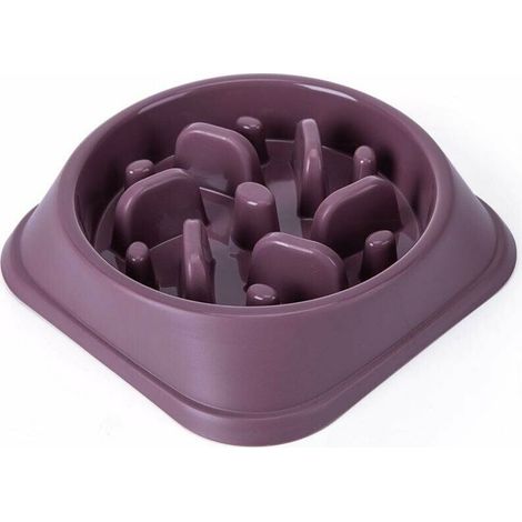 Gamelle pour chien et gamelle pour nourriture pour chien Pet Anti-Choking Slow Food Bowl - Violet (1/5)