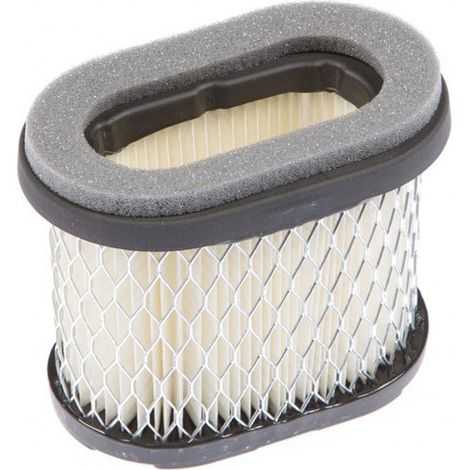 Filtre à air Briggs et Stratton 697029