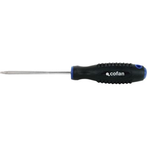 Destornillador Spanner doble punta de huella desde 4 a 10 09506085                                               172 100             4 (1/2)