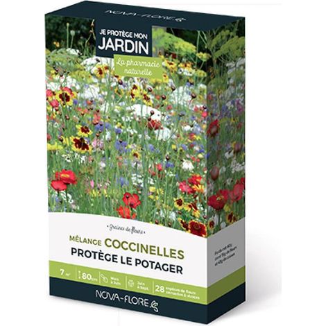 Prairies fleuries : j'attire les coccinelles 7 m2