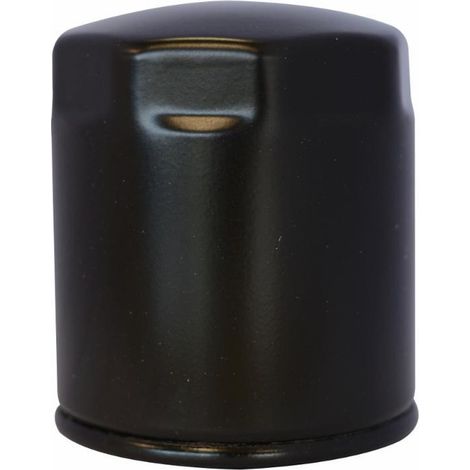 Cartouche filtre Gasoil 2175.045 adaptable LOMBARDINI RUGGERINI