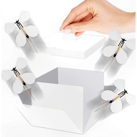 Coffret cadeau papillons multicolores pour les fêtes d'anniversaire et les occasions mémorables, avec décoration sur le thème des papillons (1/5)