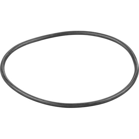 Rems O-Ring 060153