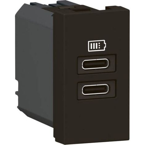 Chargeur 2 USB Type-C Mosaic - 2 modules noir pour support LCM (077682L) (1/3)