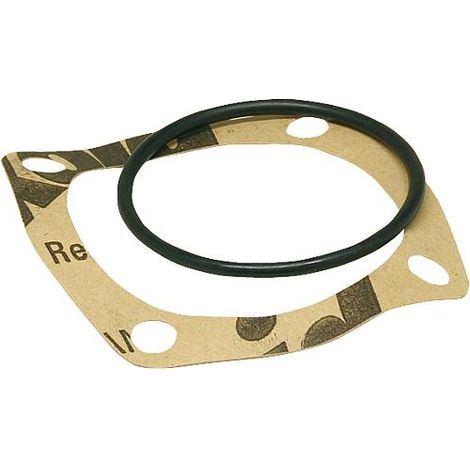 thermostat de rechange 45°C Pour vanne termo WS DN 40-50 avec joint (1/2)