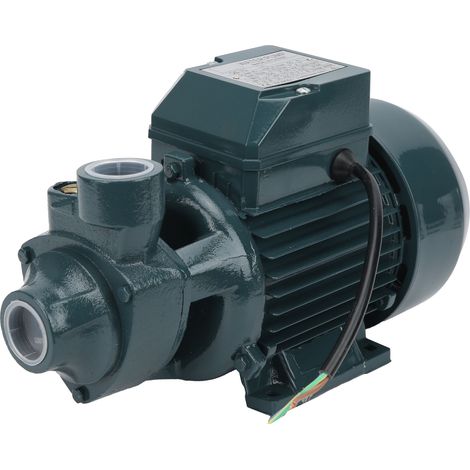 Kleine, tragbare Trinkwasserpumpe für die Bewässerung von Haushalt, Landwirtschaft und Garten QB70 550W 45L/minAC220V (1/5)