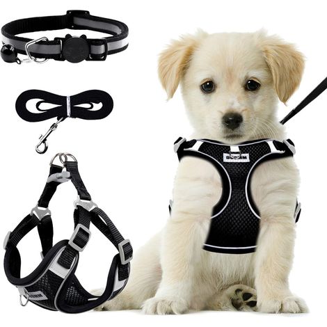 Harnais pour Chien et Chat Réglable avec Laisse et Collier - Ensemble Confortable et Respirant pour Petits Animaux