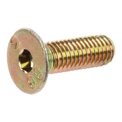 Tornillo 8X 25 V2A AMAZONE DD220