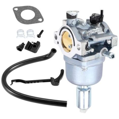 Carburateur de remplacement 792036 pour Nikki 795366 594601 695353 697216 698945 (1/4)