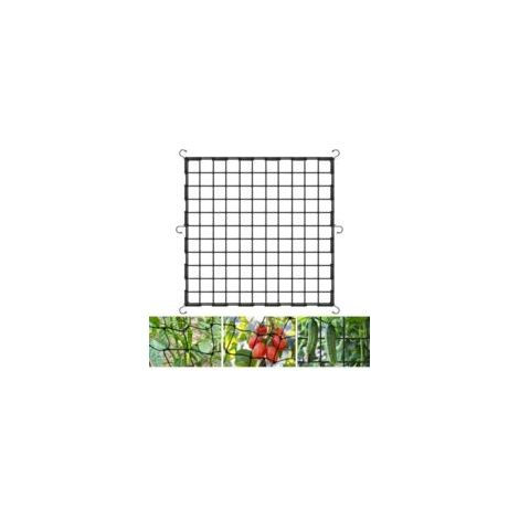 QORVA-Filet de Tente de Culture, 120  120cm Filet de Culture Élastique avec 6 Crochets, Filet de Soutien pour Plantes Filet à Plantes Grimpantes pour Jardin, Fruits, Cultures et Autres Légumes