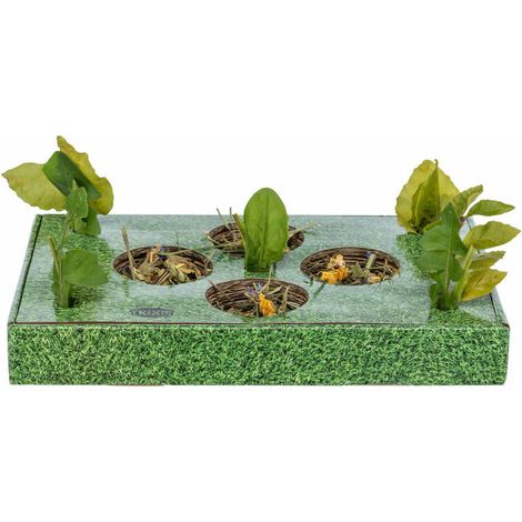 Vassoio per aperitivi Trixie Verde Cartone 28 x 3,8 x 18 cm (1/5)
