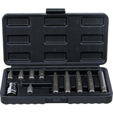 Jeu d Embouts 11 pcs 10 mm (3/8) Polygone Femelle XZN Précision et Polyvalence, Acier, Pro - D-Work