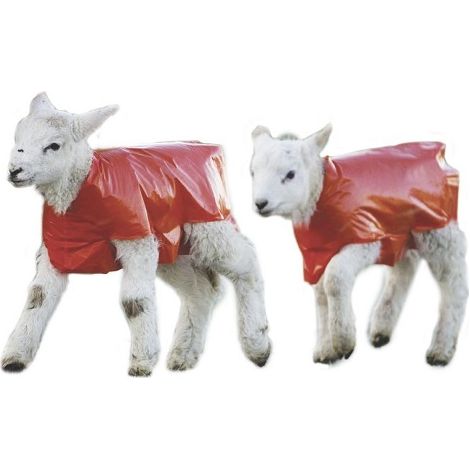 Douche impermable pour agneaux. Il prot�ge les cordres du froid et de la pluie. Sculpture unique. Pack 25 units