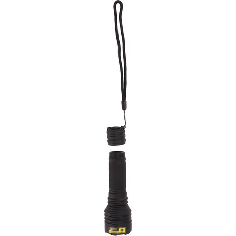 Lampe torche UV LED 365 nm portable avec filtre optique noir pour la détection d'urine d'animaux et le durcissement des gencives (1/5)