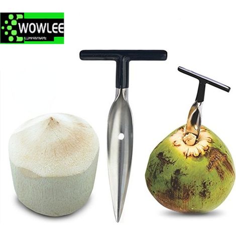 Sacacorchos de coco de acero inoxidable, herramientas para frutas, accesorios de cocina, color plateado (1/3)