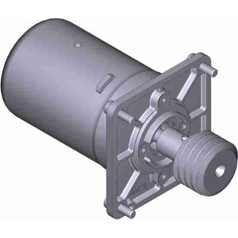 Gruppo Motore Elettrico Fe4024 24v Ricambio CAME 119RID368