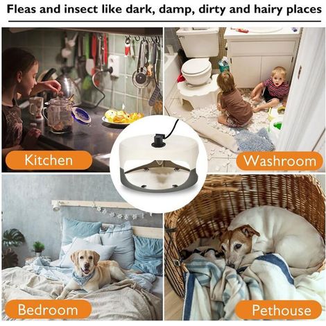 Piège à Puces Dome Collant pour Puces et Punaises avec 2 Cartes de Capture, non Toxique et Inodore, Lumière Attractive et Sécurisé pour Enfants et Animaux (1/4)
